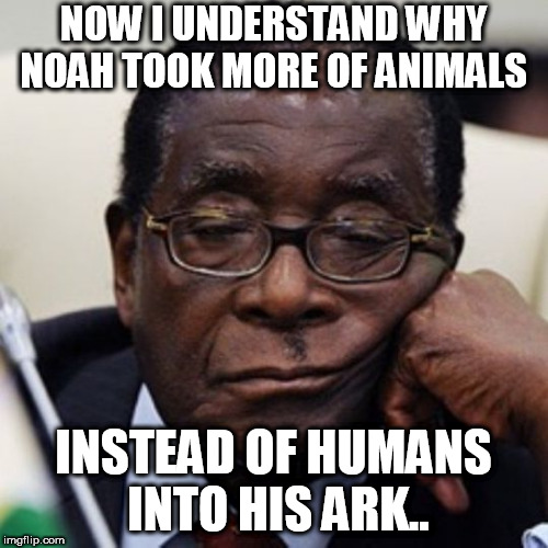 Sad Mugabe | NOW I UNDERSTAND WHY NOAH TOOK MORE OF ANIMALS; INSTEAD OF HUMANS INTO HIS ARK.. | image tagged in sad mugabe | made w/ Imgflip meme maker