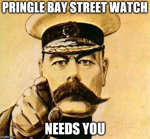 Your Country Needs YOU | PRINGLE BAY STREET WATCH; NEEDS YOU | image tagged in your country needs you | made w/ Imgflip meme maker