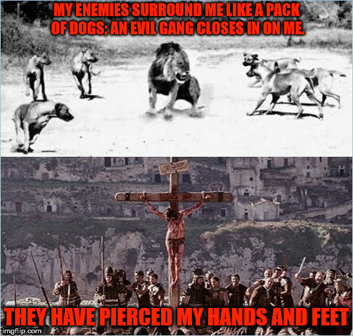 Psalm 22:16 | MY ENEMIES SURROUND ME LIKE A PACK OF DOGS; AN EVIL GANG CLOSES IN ON ME. THEY HAVE PIERCED MY HANDS AND FEET | image tagged in bible,jesus christ,lion,dogs,suicide,human stupidity | made w/ Imgflip meme maker