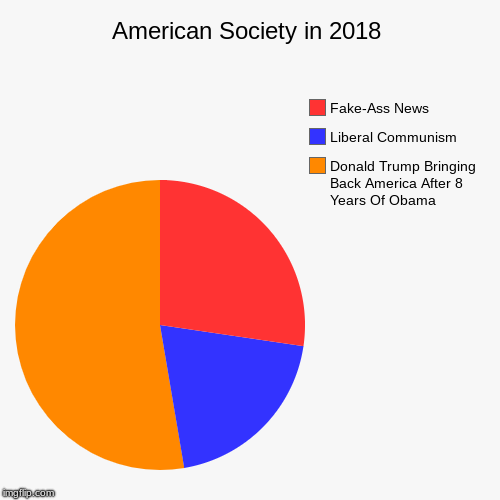 American Society in 2018 | Donald Trump Bringing Back America After 8 Years Of Obama, Liberal Communism , Fake-Ass News | image tagged in funny,pie charts | made w/ Imgflip chart maker