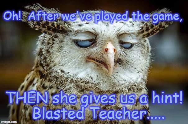 Exasperated GM Owl | Oh!  After we've played the game, THEN she gives us a hint!  Blasted Teacher..... | image tagged in exasperated gm owl | made w/ Imgflip meme maker
