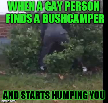 fortnit bush | WHEN A GAY PERSON FINDS A BUSHCAMPER; AND STARTS HUMPING YOU | image tagged in fortnit bush | made w/ Imgflip meme maker