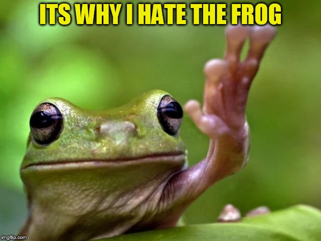 ITS WHY I HATE THE FROG | made w/ Imgflip meme maker