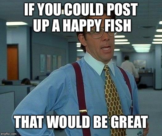 That Would Be Great Meme | IF YOU COULD POST UP A HAPPY FISH THAT WOULD BE GREAT | image tagged in memes,that would be great | made w/ Imgflip meme maker