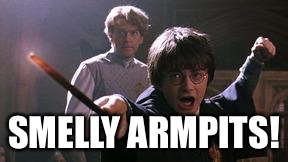 From The Book of Misheard Spells | SMELLY ARMPITS! | image tagged in harry potter spell | made w/ Imgflip meme maker