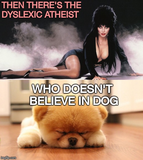 THEN THERE'S THE DYSLEXIC ATHEIST WHO DOESN'T BELIEVE IN DOG | made w/ Imgflip meme maker