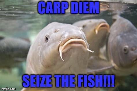 CARP DIEM SEIZE THE FISH!!! | made w/ Imgflip meme maker