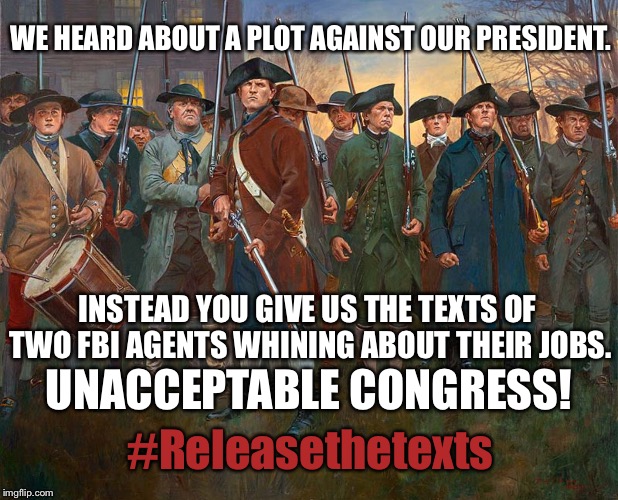 Patriots | WE HEARD ABOUT A PLOT AGAINST OUR PRESIDENT. INSTEAD YOU GIVE US THE TEXTS OF TWO FBI AGENTS WHINING ABOUT THEIR JOBS. UNACCEPTABLE CONGRESS! #Releasethetexts | image tagged in patriots,greatawakening | made w/ Imgflip meme maker