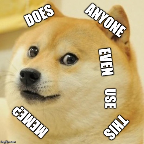 Doge | DOES; ANYONE; EVEN; USE; MEME? THIS | image tagged in memes,doge | made w/ Imgflip meme maker
