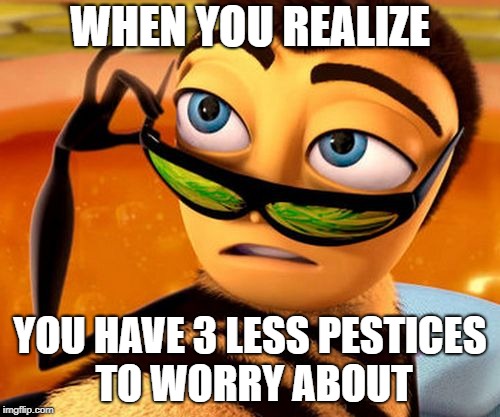 Bee Movie | WHEN YOU REALIZE; YOU HAVE 3 LESS PESTICES TO WORRY ABOUT | image tagged in bee movie | made w/ Imgflip meme maker