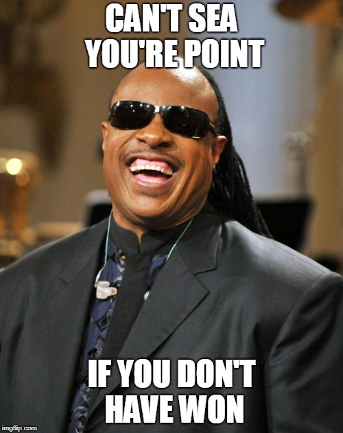 Stevie Wonder | CAN'T SEA YOU'RE POINT; IF YOU DON'T HAVE WON | image tagged in stevie wonder | made w/ Imgflip meme maker