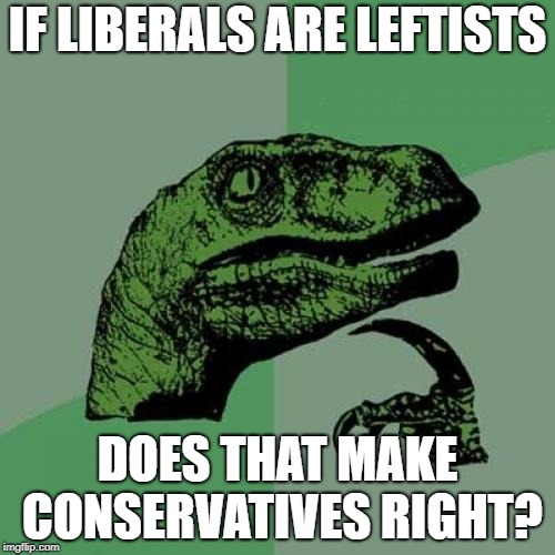 Philosoraptor | IF LIBERALS ARE LEFTISTS; DOES THAT MAKE CONSERVATIVES RIGHT? | image tagged in memes,philosoraptor | made w/ Imgflip meme maker