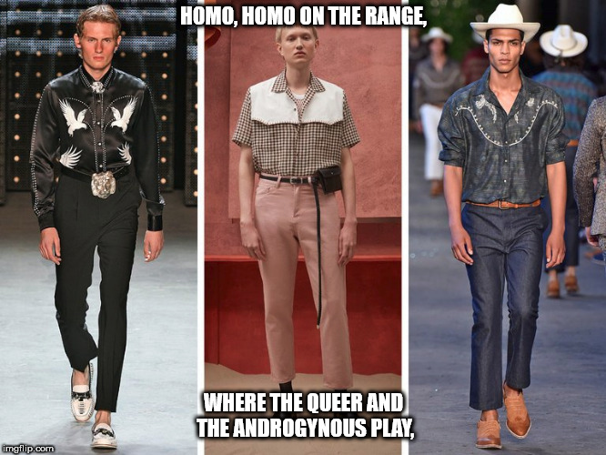 Homo on the Range | HOMO, HOMO ON THE RANGE, WHERE THE QUEER AND THE ANDROGYNOUS PLAY, | image tagged in western,homo,queer,gay,fashion,nsfw | made w/ Imgflip meme maker