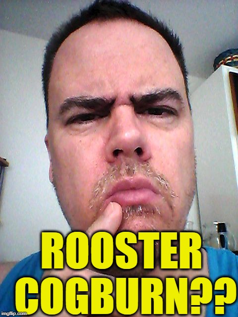 puzzled | ROOSTER COGBURN?? | image tagged in puzzled | made w/ Imgflip meme maker