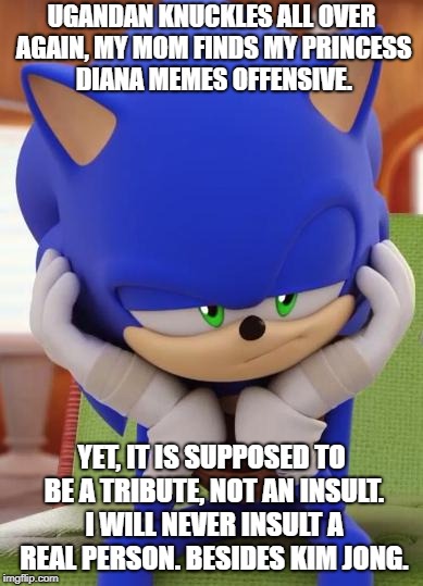 Disappointed about Offense. | UGANDAN KNUCKLES ALL OVER AGAIN, MY MOM FINDS MY PRINCESS DIANA MEMES OFFENSIVE. YET, IT IS SUPPOSED TO BE A TRIBUTE, NOT AN INSULT. I WILL NEVER INSULT A REAL PERSON.
BESIDES KIM JONG. | image tagged in disappointed sonic | made w/ Imgflip meme maker