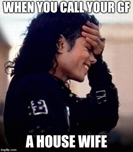 Michael Jackson is amused by stupidity | WHEN YOU CALL YOUR GF; A HOUSE WIFE | image tagged in michael jackson is amused by stupidity | made w/ Imgflip meme maker