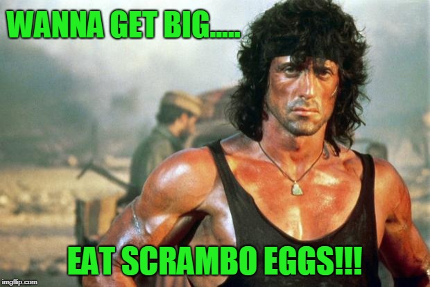 Scrambo Eggs.... | WANNA GET BIG..... EAT SCRAMBO EGGS!!! | image tagged in rambo | made w/ Imgflip meme maker