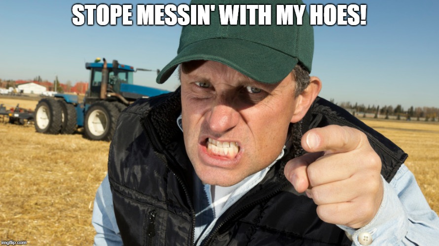 STOPE MESSIN' WITH MY HOES! | image tagged in angry farmer | made w/ Imgflip meme maker