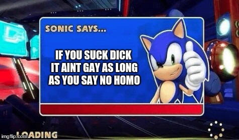 Sonic Says | IF YOU SUCK DICK IT AINT GAY AS LONG AS YOU SAY NO HOMO | image tagged in sonic says | made w/ Imgflip meme maker