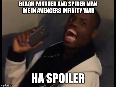 Got eem | BLACK PANTHER AND SPIDER MAN DIE IN AVENGERS INFINITY WAR; HA SPOILER | image tagged in got eem | made w/ Imgflip meme maker