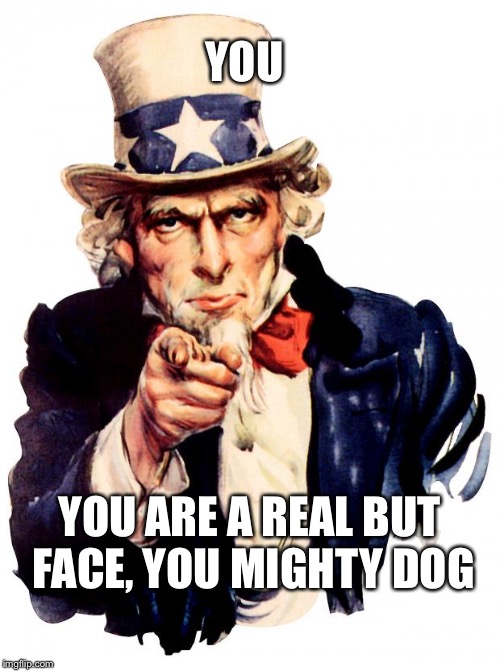 Uncle Sam | YOU; YOU ARE A REAL BUT FACE, YOU MIGHTY DOG | image tagged in memes,uncle sam | made w/ Imgflip meme maker