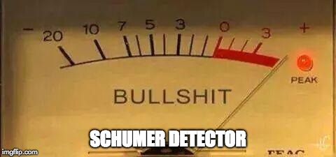 Bullshit Meter | SCHUMER DETECTOR | image tagged in bullshit meter | made w/ Imgflip meme maker
