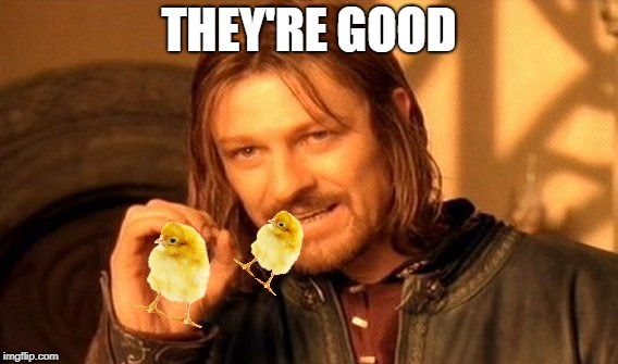 One Does Not Simply Meme | THEY'RE GOOD | image tagged in memes,one does not simply | made w/ Imgflip meme maker