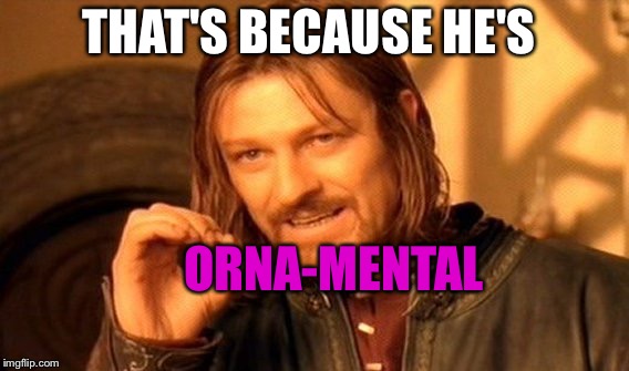 One Does Not Simply Meme | THAT'S BECAUSE HE'S ORNA-MENTAL | image tagged in memes,one does not simply | made w/ Imgflip meme maker