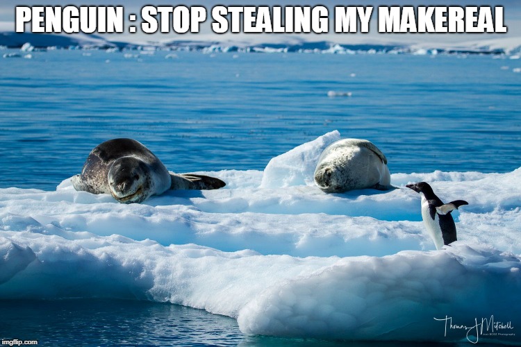 PENGUIN : STOP STEALING MY MAKEREAL | made w/ Imgflip meme maker