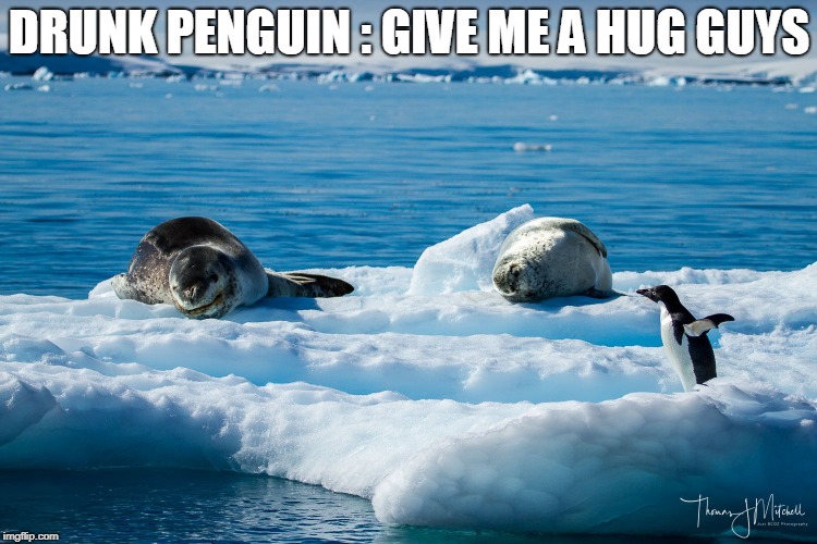 DRUNK PENGUIN : GIVE ME A HUG GUYS | made w/ Imgflip meme maker