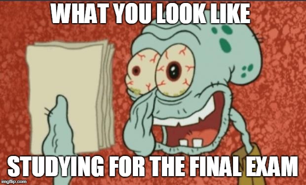 law school memo | WHAT YOU LOOK LIKE; STUDYING FOR THE FINAL EXAM | image tagged in law school memo | made w/ Imgflip meme maker