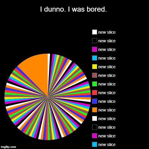 I dunno. I was bored. | The biggest portion. | image tagged in funny,pie charts | made w/ Imgflip chart maker
