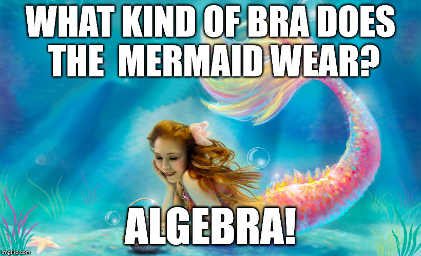 Bad mermaid pun | WHAT KIND OF BRA DOES THE  MERMAID WEAR? ALGEBRA! | image tagged in mermaid,bad pun,pun,funny meme | made w/ Imgflip meme maker