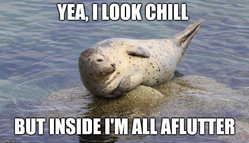 Celebrating 10,000 imgflip points
Thank you, everyone!! | YEA, I LOOK CHILL; BUT INSIDE I'M ALL AFLUTTER | image tagged in chill seal,memes,thank you,first world problems,picard wtf,imgflip points | made w/ Imgflip meme maker