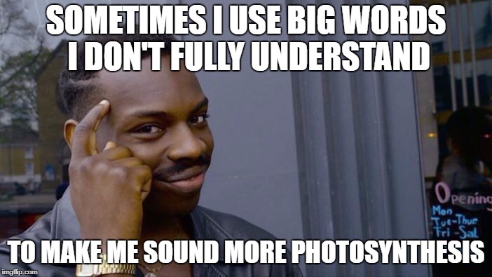 Roll safe don't think about it | SOMETIMES I USE BIG WORDS I DON'T FULLY UNDERSTAND; TO MAKE ME SOUND MORE PHOTOSYNTHESIS | image tagged in memes,roll safe think about it | made w/ Imgflip meme maker