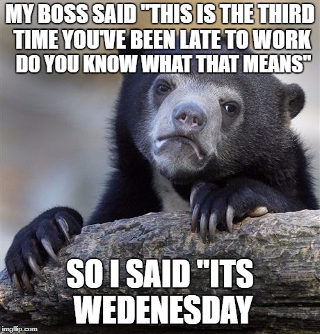 Confession Bear Meme | MY BOSS SAID "THIS IS THE THIRD TIME YOU'VE BEEN LATE TO WORK; DO YOU KNOW WHAT THAT MEANS"; SO I SAID "ITS WEDENESDAY | image tagged in memes,confession bear | made w/ Imgflip meme maker