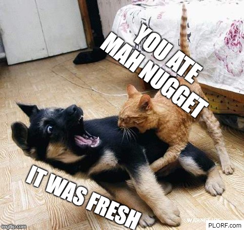 betrayal | YOU ATE MAH NUGGET; IT WAS FRESH | image tagged in scared dog,angry cat,food | made w/ Imgflip meme maker