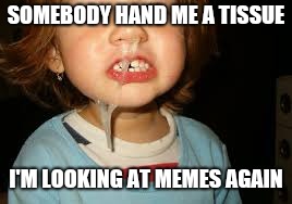 snot | SOMEBODY HAND ME A TISSUE; I'M LOOKING AT MEMES AGAIN | image tagged in snot | made w/ Imgflip meme maker