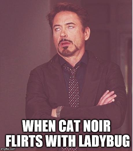 Those Puns, They're Annoying. | WHEN CAT NOIR FLIRTS WITH LADYBUG | image tagged in memes,face you make robert downey jr,miraculous ladybug,ladybug,cat noir | made w/ Imgflip meme maker