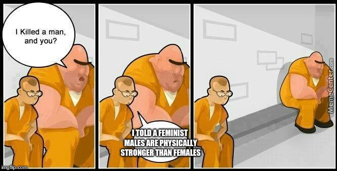 Reality now in days
 | I TOLD A FEMINIST MALES ARE PHYSICALLY STRONGER THAN FEMALES | image tagged in prisoners blank,funny | made w/ Imgflip meme maker