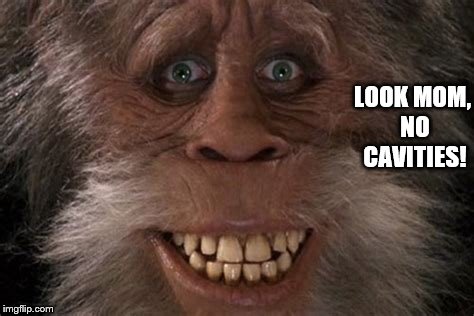 Harry Sasquatch Has No Cavities!  | LOOK MOM, NO CAVITIES! | image tagged in sasquatch,harry  the hendersons,big foot,no cavities,memes,funny memes | made w/ Imgflip meme maker