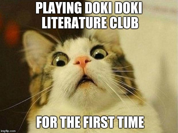 Scared Cat | PLAYING DOKI DOKI LITERATURE CLUB; FOR THE FIRST TIME | image tagged in memes,scared cat | made w/ Imgflip meme maker