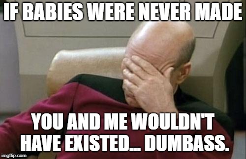 Captain Picard Facepalm Meme | IF BABIES WERE NEVER MADE YOU AND ME WOULDN'T HAVE EXISTED... DUMBASS. | image tagged in memes,captain picard facepalm | made w/ Imgflip meme maker
