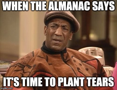 confused bill cosby | WHEN THE ALMANAC SAYS; IT'S TIME TO PLANT TEARS | image tagged in confused bill cosby | made w/ Imgflip meme maker