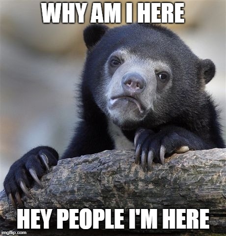 Confession Bear Meme | WHY AM I HERE; HEY PEOPLE I'M HERE | image tagged in memes,confession bear | made w/ Imgflip meme maker