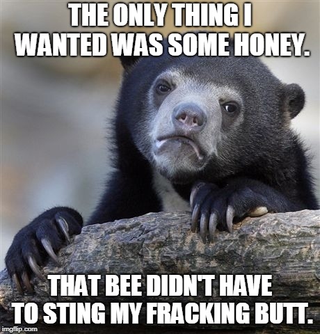Confession Bear Meme | THE ONLY THING I WANTED WAS SOME HONEY. THAT BEE DIDN'T HAVE TO STING MY FRACKING BUTT. | image tagged in memes,confession bear | made w/ Imgflip meme maker
