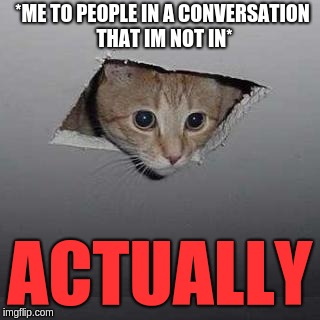 Interrupting Cat | *ME TO PEOPLE IN A CONVERSATION THAT IM NOT IN*; ACTUALLY | image tagged in memes,ceiling cat,interuption,cat,oh wow are you actually reading these tags,technically correct man | made w/ Imgflip meme maker