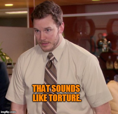 THAT SOUNDS LIKE TORTURE. | made w/ Imgflip meme maker