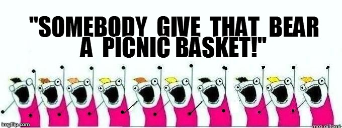 ''SOMEBODY  GIVE  THAT  BEAR A  PICNIC BASKET!'' | made w/ Imgflip meme maker