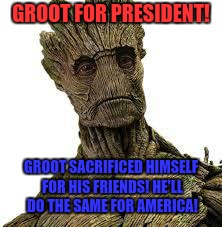 I am Groot | GROOT FOR PRESIDENT! GROOT SACRIFICED HIMSELF FOR HIS FRIENDS! HE'LL DO THE SAME FOR AMERICA! | image tagged in i am groot | made w/ Imgflip meme maker